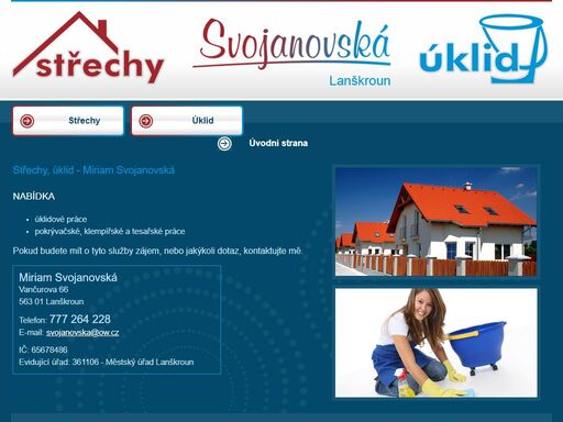 www.uklid-strechy.cz