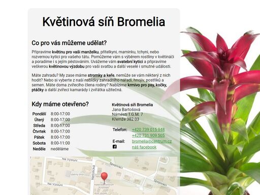www.bromelia.prodejce.cz