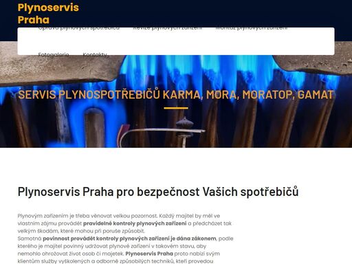 www.plynoservis-praha.cz