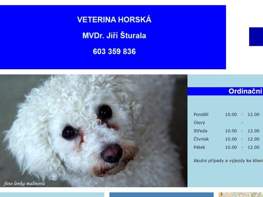 www.veterina-horska.cz