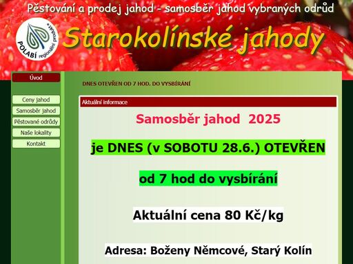 jahodárna starý kolín - pěstování, prodej a samosběr jahod