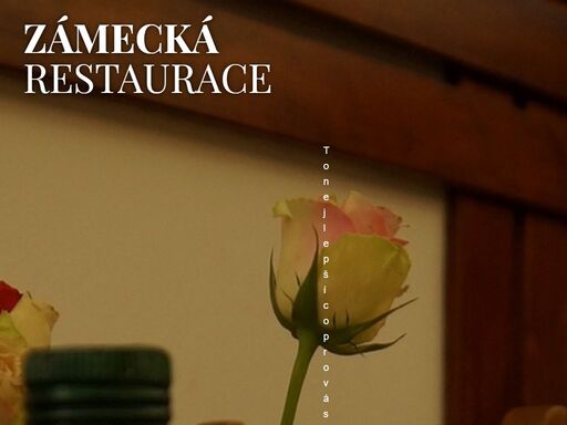 česká i zahraniční kuchyně. hotovky i minutky. menší restaurace v historickém středu horšovského týna.