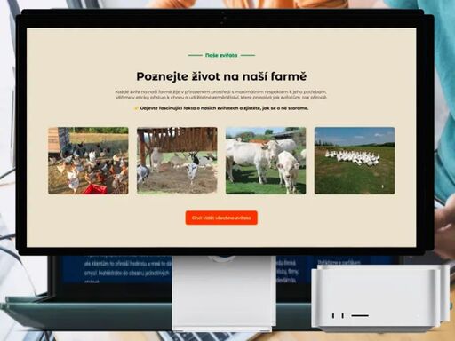 webdesign studio - tvoříme osobité webové stránky a eshopy, které jsou vidět a přinášejí zisk
