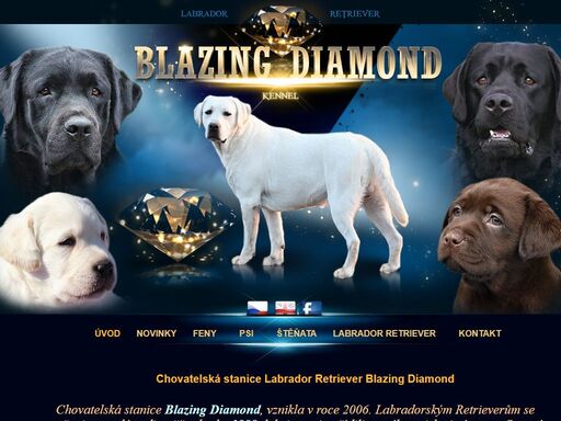chovatelská stanice labradorských retrieverů blazing diamond, labrador retriever kennel blazing diamond