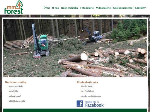 probírkové zásahy, mýtní těžba, rizikové kácení, úklid klestu po těžbě nabízíme služby - probírkové zásahy, mýtní těžba, rizikové kácení, úklid klestu po těžbě