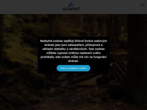 soneko s.r.o. společnost zařizuje interiéry a exteriéry bank, společenských prostor, hotelů, restaurací, prodejen, rodinných domů a bytů. základním cílem společnosti je poskytnutí kompletních služeb, dle požadavků zákazníka od architektonických řešení, vypracování projektů, výrobu, až po následné montáže v místě realizace. 