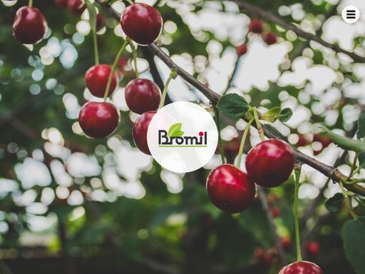 bromil s.r.o.