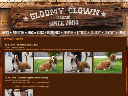 gloomy clown je chovatelská stanice plemena basset hound, gloomy clown is bassethounds kennel