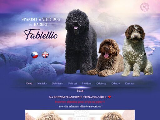 fabiellio :: chovatelská stanice plemene španělský vodní pes * spanish water dog kennel fabiellio
