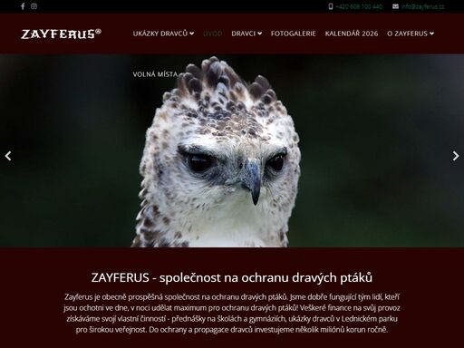 ochrana a ukázky dravců, sokolnictví, fotoalbum draví ptáci, informace, odchovy. fotosoutěž dravci.