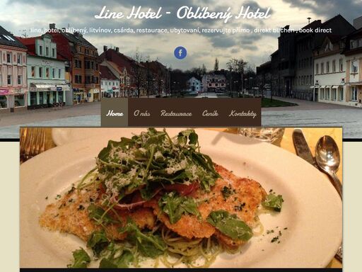 line hotel & restaurant litvínov poskytuje ubytování v pokojích s úplným sociálním příslušenstvím , wifi internet připojením , restaurační služby ,
