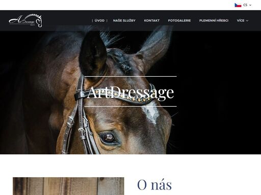 www.artdressage.cz