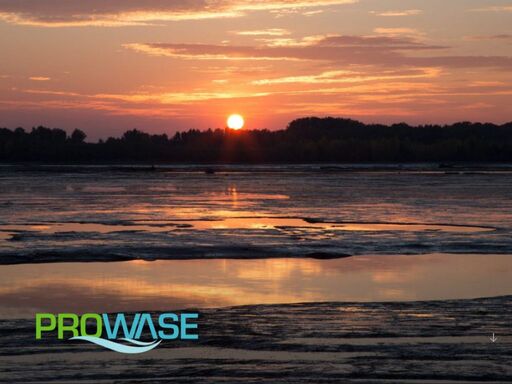 prowase.cz