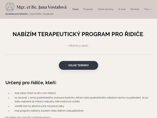 terapeutické programy řidiči | programy řidiči praha