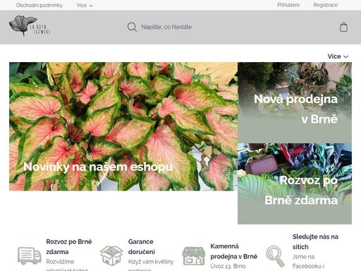 www.laropaflowers.cz
