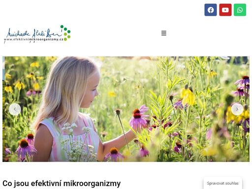 efektivní mikroorganizmy pro dům, zahradu, úpravu vody, zdraví člověka i domácích a hospodářských zvířat. synergický efekt probiotických kmenů, který má sílu.