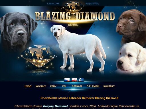 chovatelská stanice labradorských retrieverů blazing diamond, labrador retriever kennel blazing diamond
