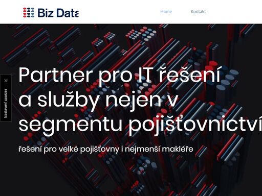 www.bizdata.cz