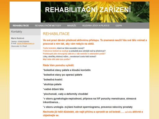 www.rehabilitacnizarizeni.cz