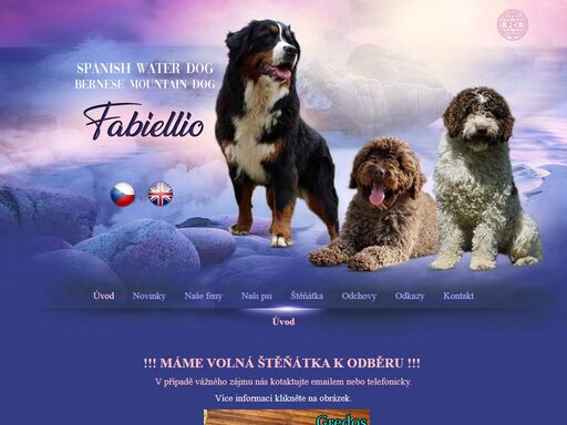 www.fabiellio.com