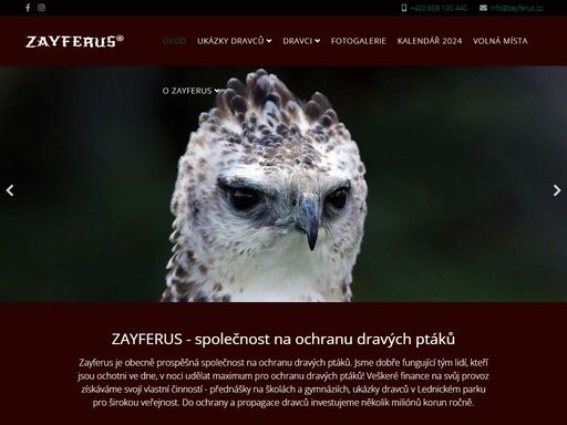 www.zayferus.cz