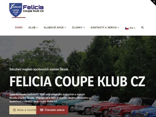 felicia-coupe.com