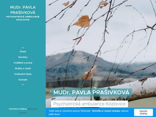 psychiatrie-kozlovice.webnode.cz