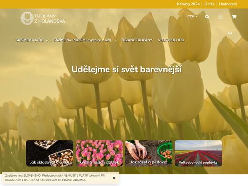 už víte, jak bude vypadat váš tulipánový záhon na jaře? nabízíme kvalitní cibule tulipánů přímo z holandska. stále rozšiřujeme naši nabídku a naleznete tak u nás velký výběr cibulek nejrůznějších barev a druhů.