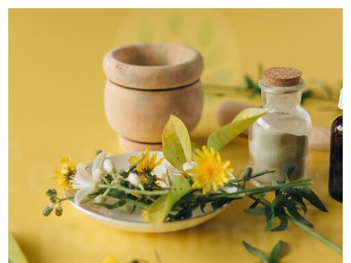 www.homeopathy.cz