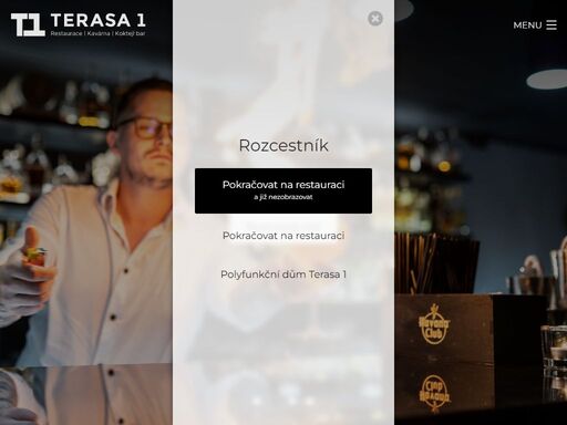 www.terasa1.cz