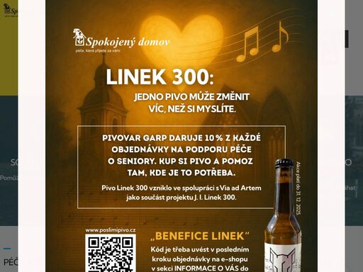 péče, která přijede za vámi