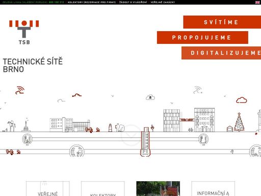 hlavní a prioritní činností společnosti je poskytování služeb statutárnímu městu brnu. nejvýznamnějšími z nich jsou správa a zabezpečení provozu veřejného osvětlení a slavnostního osvětlení města brna.