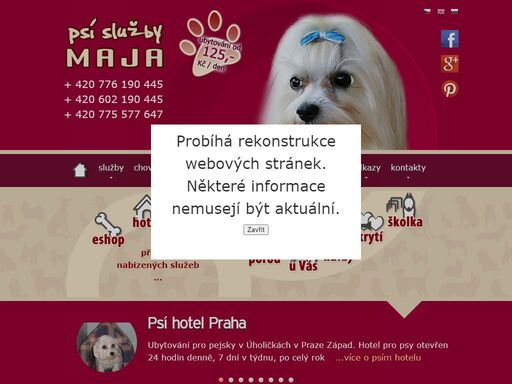 psí hotel a služby pro psy mája. hlídání a ubytování, porodnice, salon, výcvik psů. chov maltézáčků.
