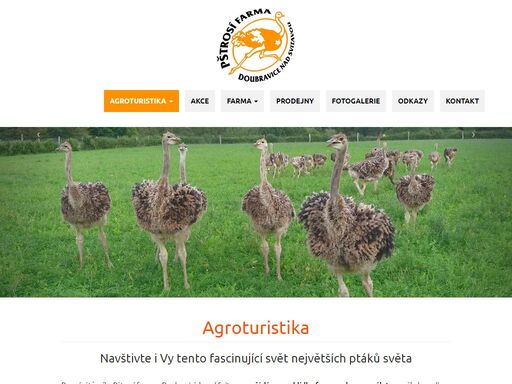 pštrosí farma doubravice