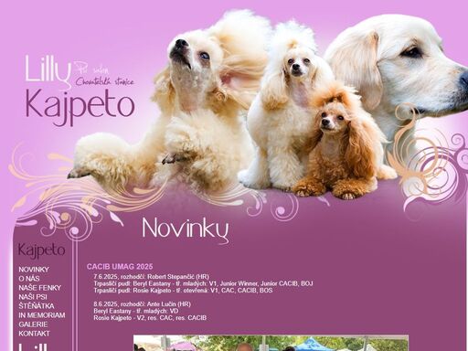 chovatelská stanice kajpeto - toy pudl a golden retriever / novinky