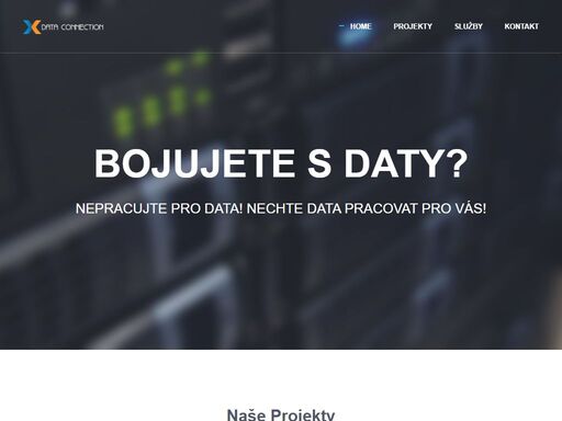 vývoj internetových aplikací, statisky pro e-shopy i účetní programy.