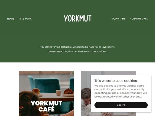 yorkmut.com