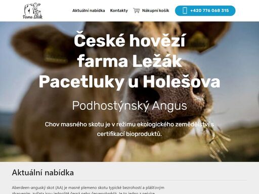 české hovězí - farma ležák, pacetluky u holešova, prodej českého hovězího masa plemene abeerden angus red