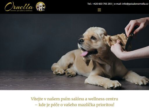navštivte psí salon ornella v plzni – profesionální péče o psy, luxusní wellness služby, stříhání, česání a relaxace pro vaše mazlíčky