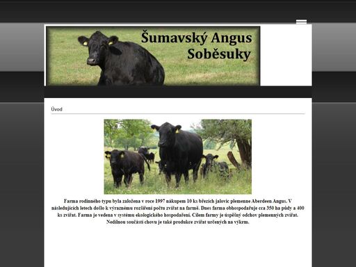 farma rodinného typu byla založena  v roce 1997 nákupem 10 ks březích jalovic plemenne aberdeen angus. v následujících letech došlo k výraznému rozšíření počtu zvířat na farmě. dnes farma obhospodařuje cca 350 ha půdy a 180 ks zvířat.