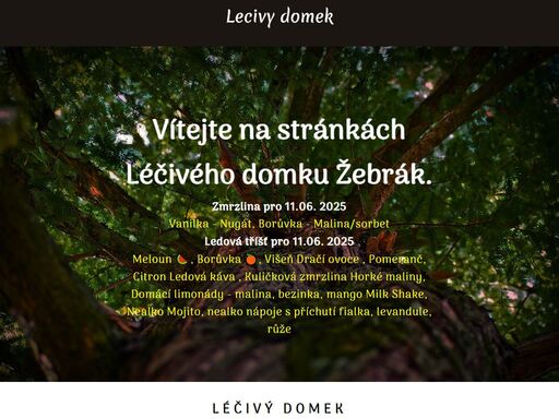 prodej léčivých čajů, bylin, drahých kamenů, točené zmrzliny a ledové tříště v žebráce
