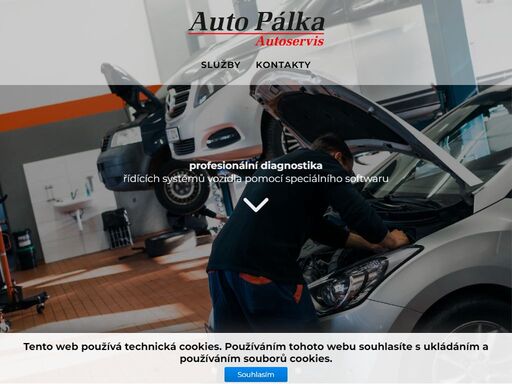 auto pálka - autoservis - provádíme diagnostiku vozidel, servis motorů a podvozků, opravy brzd, abs, klimatizací.