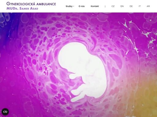 soukromá gynekologická ordinace v praze.