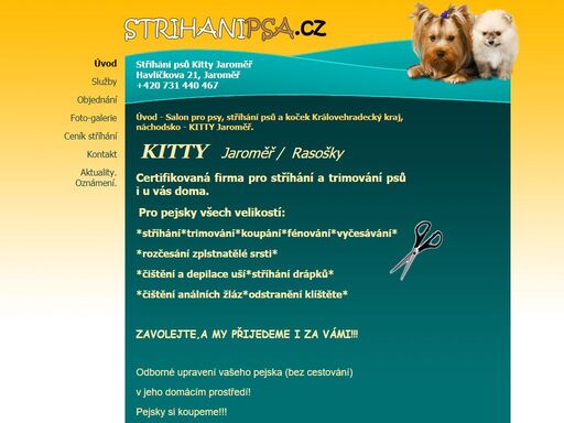 salon pro psy, stříhání psů a koček královehradecký kraj, náchodsko - kitty  jaroměř, havlíčkova 21, jaroměř - tel:  +420 731 440 467