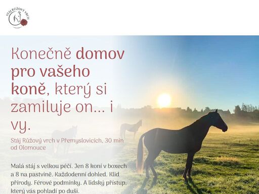 exkluzivní stáj 30 min od olomouce. jen 8 koní v boxech a 8 na pastvině. každodenní dohled. klid přírody. férové podmínky. a lidský přístup, který vás pohladí po duši.