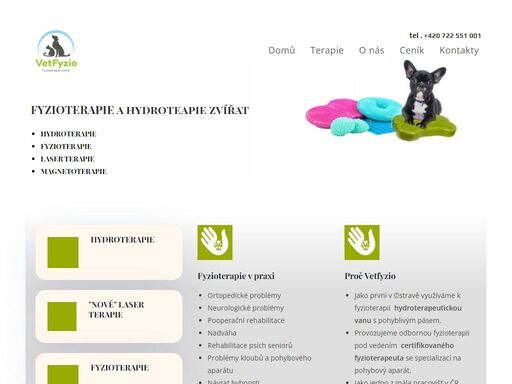 hydroterapie psů , fyzioterapie psů, veterinární fyzioterapie psů, bolest kloubů pes, bolest zad pes