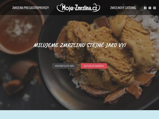 zmrzlina do vaší restaurace & zmrzlinový catering na míru. jsme zkušený zmrzlinářský tým, který chce nabízet prvotřídní výrobky.