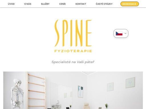 spine fyzioterapie pro účinnou úlevu od bolesti zad. profesionální léčba výhřezů plotének, skolióz a mnoha dalších pohybových obtíží.