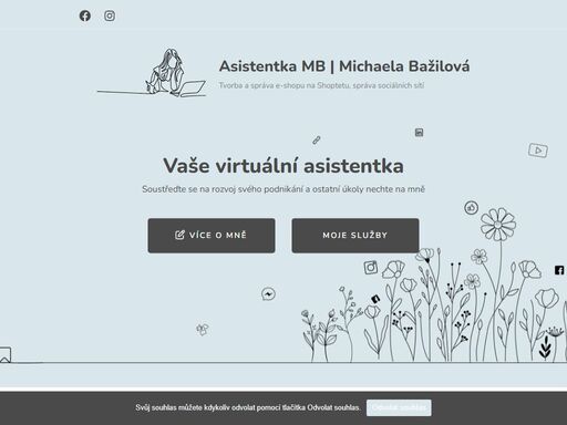 nabízím pomoc s tvorbou a správou e-shopu, sociálních sítí, psaním článků, seo, nastavením zbožových srovnávačů i administrativními úkony.