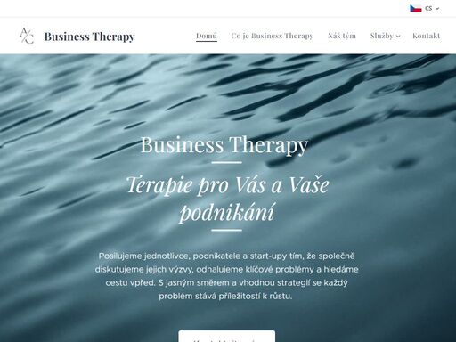 www.business-therapy.cz